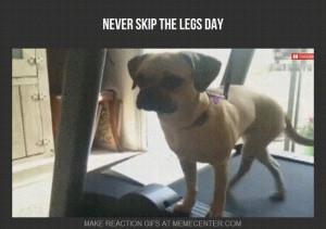 Related Pictures funny leg day pictures and images get a good laugh