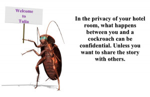 COCKROACHES QUOTES