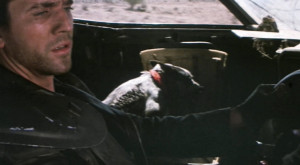 Related Images for Mel Gibson as Mad Max in Mad Max 2 (1982)