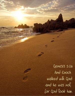 Genesis 5:24 And Enoch walked with God:and he was not; for God took ...