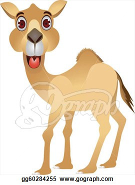 Funny Camel Faces Pictures