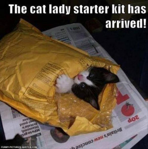Cat Lady Starter Kit