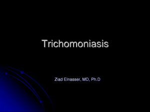 Differentiating Vaginal Infections trichomoniasis jpeg