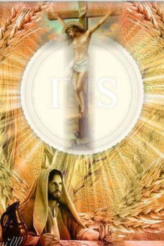 ... catholic faith catholicism christian eucharist adorable holy eucharist