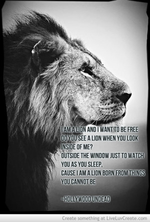 Am A Lion