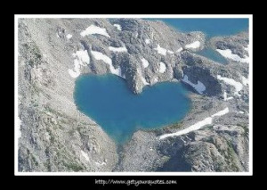 Love is everywhere!!!