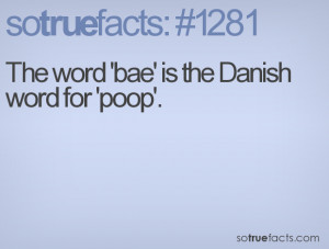 bae means poop