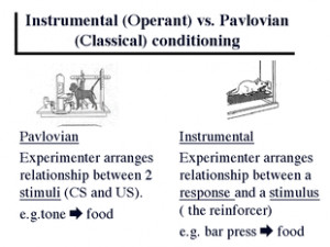 Classical Vs Operant Conditioning Examples
