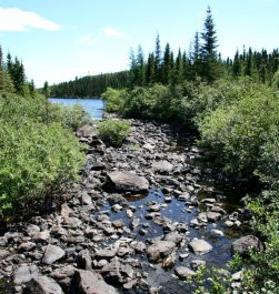 Inspirational Sayings About Attitude