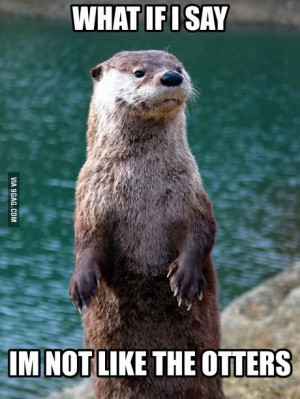 Just an otter meme