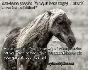 Horse people