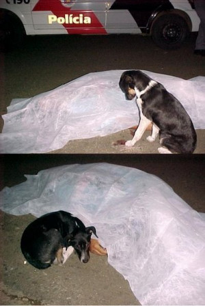 SIGN UP FOR THE NEW UBERHUMOR NEWSLETTER