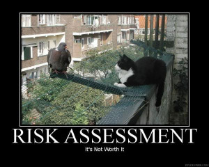 Risk Funny