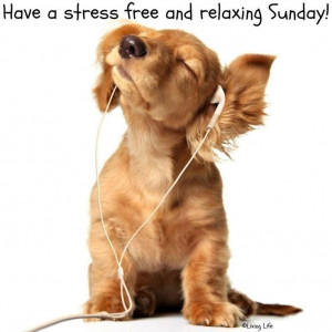 Have a relaxing Sunday!Puppies, Ipods, Pets, Ears, Listening To Music ...