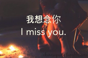 ... fawn in the city 20 notes tags i miss you lonely chinese quote alone