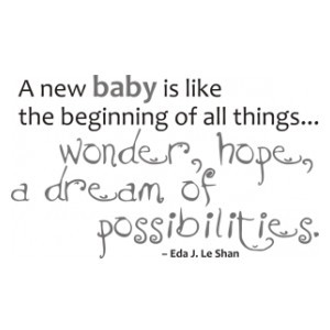Baby Quote A new baby is like the