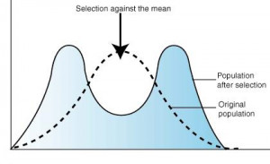 Disruptive Selection: Nature's Way of Weeding Out the Average Business