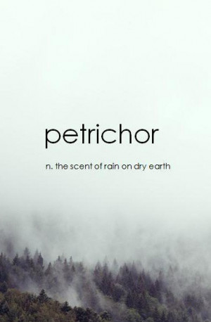 PETRICHOR : the wonderful smell emitted from the dry earth after the ...