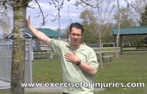 Shoulder Dislocation Exercises