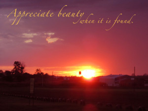 Appreciate Beauty when it is Found – Beauty Quote