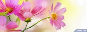 Delicate Flowers 3042 Facebook Covers