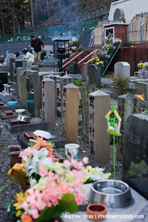 STRANGE PET CEMETERIES & TOMBSTONES - JAPAN