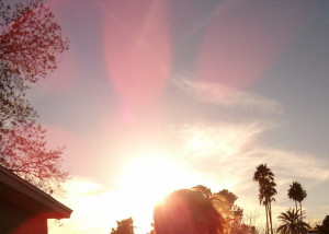 Coming Out of the Light