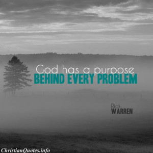 Rick Warren Quote - God has- a Purpose - fog in a field
