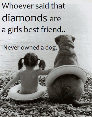 Beautiful dog quote