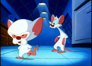 pinky gee brain what do you want to do tonight brain the same thing we ...