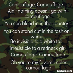 Camouflage ~ Brad Paisley