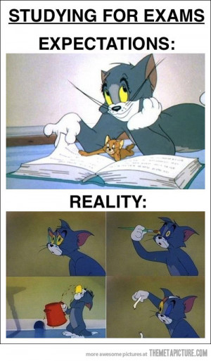 Funny photos funny Tom Jerry friends