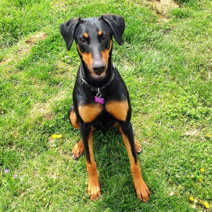 Recently on Instagram: @dbrockmanw