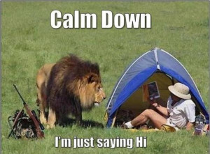 Lion Said! Calm Down I am Just Saying “hi”. Lion came in picnic ...