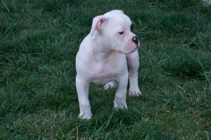 Funny Quotes Contact Us DMCA Notice