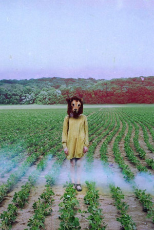 drugs, girl, hipster, indie, landscape, lion, psycho, psychodelic, sky ...