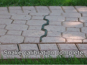 Snake Calibration Complete