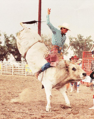 Lane Frost On Taking Care Of Business Bull rider lane frost is