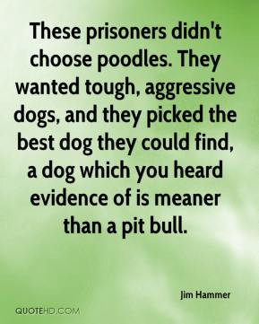 Poodles Quotes
