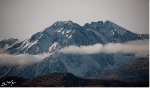 The Rev Bishop James Mccoy