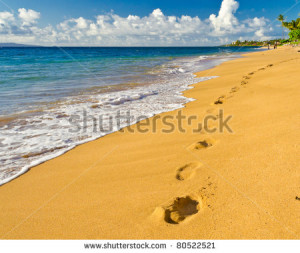 Footprints Leading Away Set