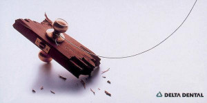 Delta Dental Insurance