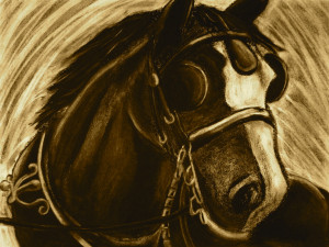 Horse_with_Blinders_by_Music_my_aphrodisiac.jpg