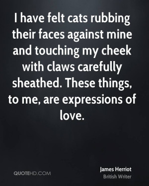 have felt cats rubbing their faces against mine and touching my ...