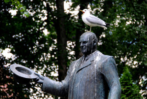 Seagull on statue