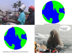 Walrus Bucket Found Jamaica