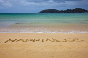 beach, happiness, ocean, photography, sand, sea, summer, the beach