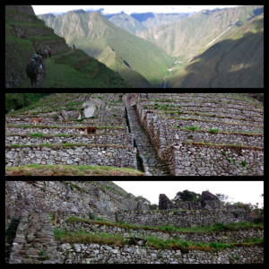 Incan-terraces.jpg (800×800)