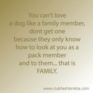 dogs #love #family #QOTD #quotes #quote