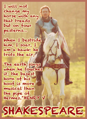 Equestrian Quotes That Will Make Your Heart Sing